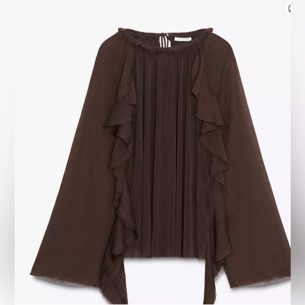 Zara Brown Ruffle Long-Sleeve Blouse